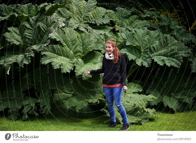Wow - das sind Blätter riesig Pflanze grün Frau zeigen Finger Gras Rasen Park Yorkshire Natur Wiese Außenaufnahme Licht Schatten fröhlich Spaß Grimasse