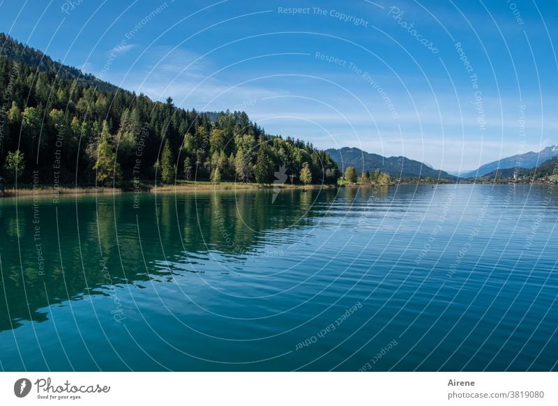 zur Ruhe finden See Alpen Wasser ruhig Zufriedenheit beschaulich Idylle Horizont Österreich Erholung Frieden Bergwald Gebirgssee Wasserspiegel Wasserspiegelung