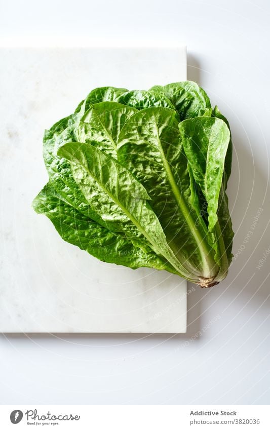 Ein Kopf frischer Römersalat romaine Lebensmittel organisch Bestandteil Gesundheit Salatbeilage Gemüse grün natürlich Vegetarier Blatt roh Pflanze Ackerbau