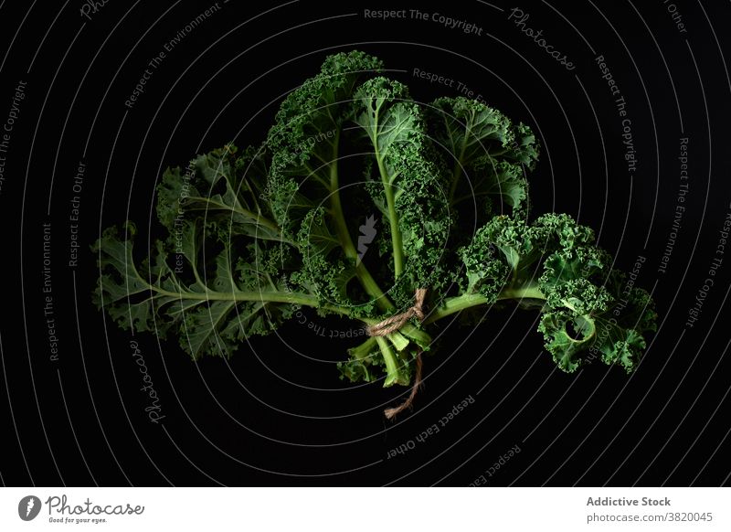 Frischer Bio-Grünkohl Kale Gemüse frisch grün organisch Pflanze Gesundheit Lebensmittel Ackerbau Kohlgewächse Blatt roh lockig Bestandteil Salatbeilage niemand
