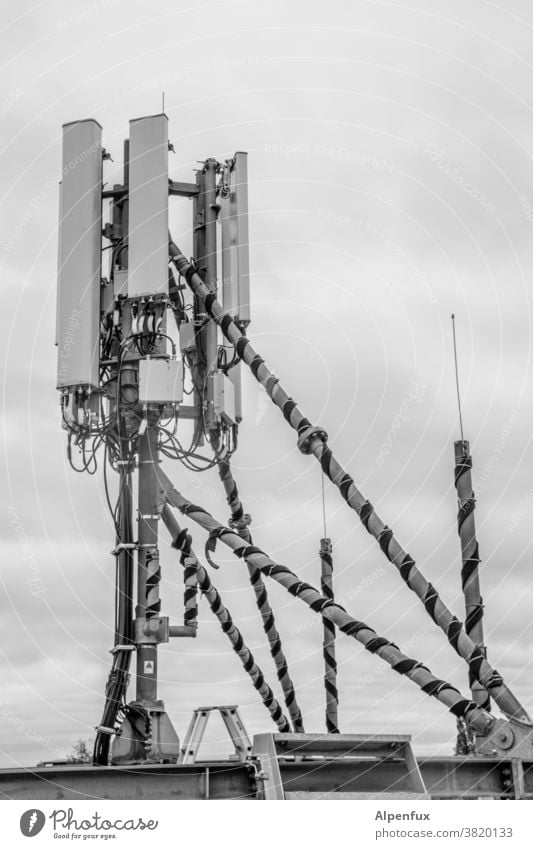 Voller Empfang 5g 5G Ausbau Technik & Technologie Telekommunikation Mitteilung Antenne Sender Übertragung Drahtlos Mobile Netzwerk Station Industrie