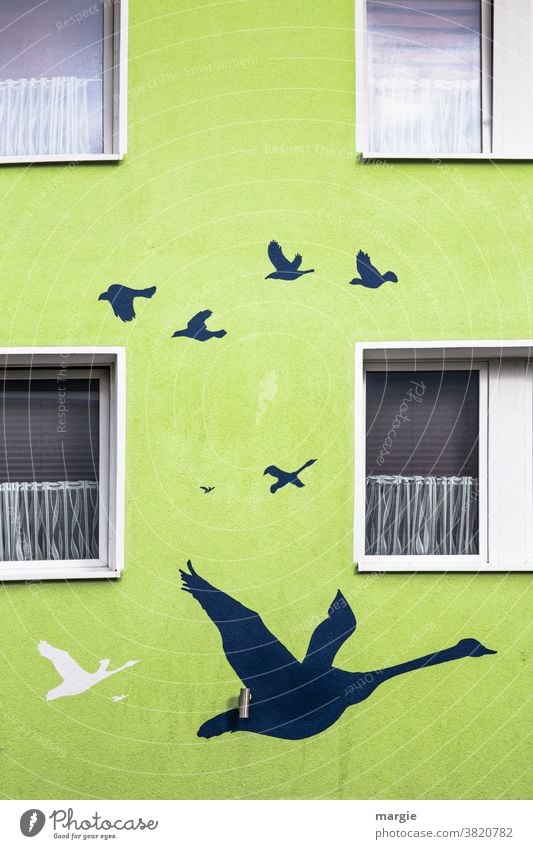 Kunst am Bau | Die Zugvögel sammeln sich Haus Fenster Gardine Malerei u. Zeichnungen Gemälde Wand gänse Zugvogel Rollladen Lampe streichen zeichnen Künstler
