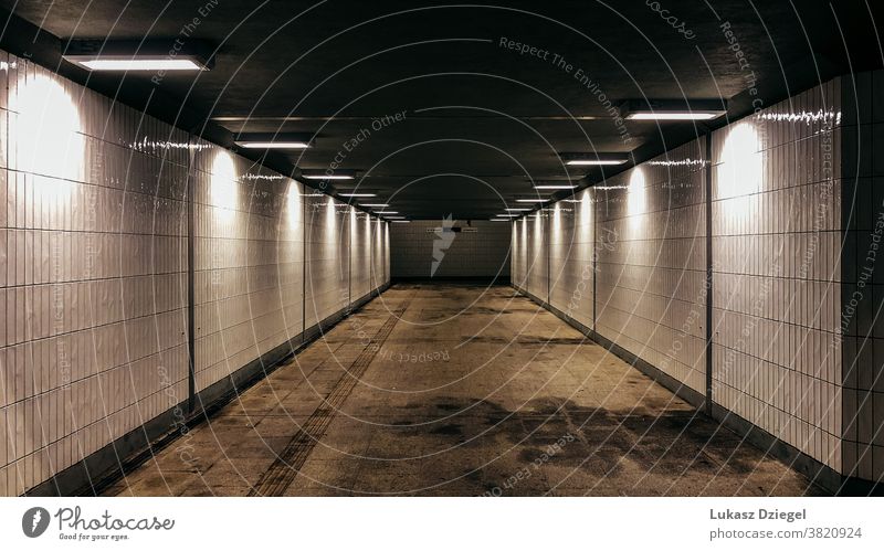Unterirdischer Gang bei Nacht unterirdisch Durchgang Stollen Unterführung Architektur Beleuchtung Neonlicht Tunnelblick Kunstlicht Schatten leer Einsamkeit