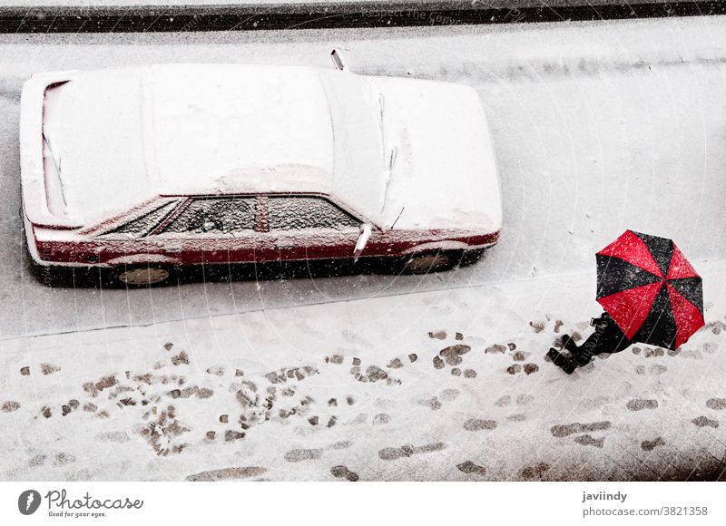 Frau hält einen schwarz-roten Regenschirm unter Schnee Winter kalt weiß Bäume Dezember Spaziergang schön gefroren Person Schneefall Saison Wetter Park Natur