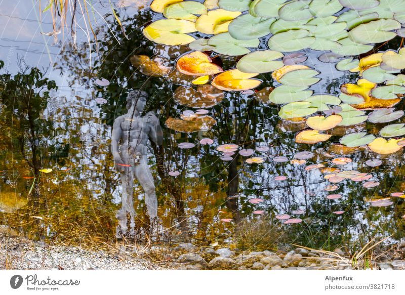 Selfie mit Seerosen Teich Seerosenteich Außenaufnahme Wasser Pflanze Seerosenblatt Farbfoto Statue Statuen Menschenleer Reflexion & Spiegelung Herbst Teichufer