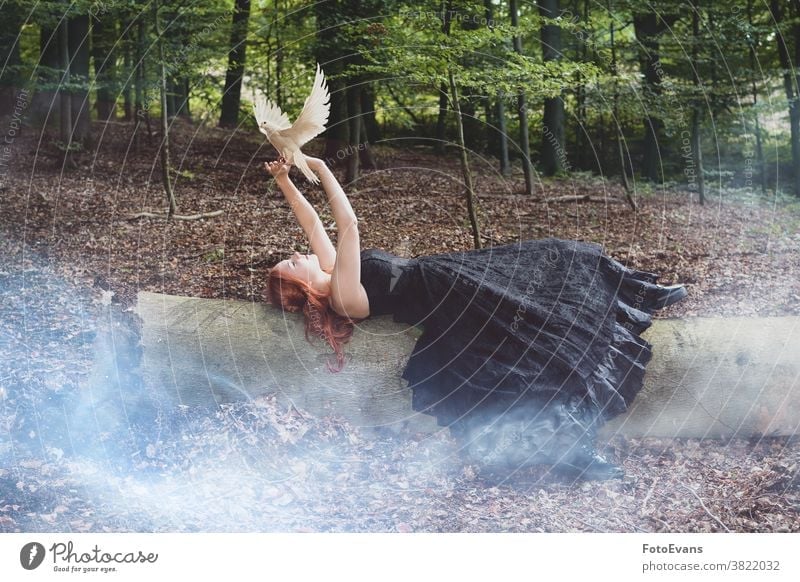 Der Taubenflüsterer rothaarig Porträt Dressur Kleid lang Mode mystisch Schönheit Hoffnung Frau Bäume Mädchen geheimnisvoll Baum Vogel schwarz Behaarung träumen