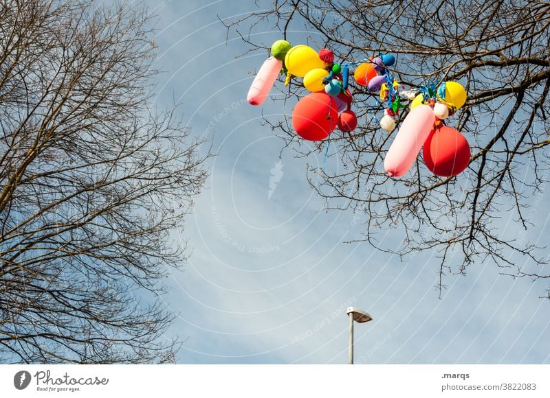 Die Party ist vorbei Ast Luftballon viele Himmel Feste & Feiern Geburtstag bunt Dekoration & Verzierung Veranstaltung Kindergeburtstag Zweig