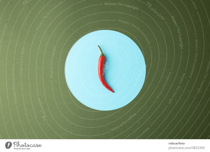 rote Chilischote auf grünem und blauem Hintergrund Pflanze Paprika Lebensmittel Würzig Bestandteil organisch Essen zubereiten reif Gemüse heiß mexikanisch