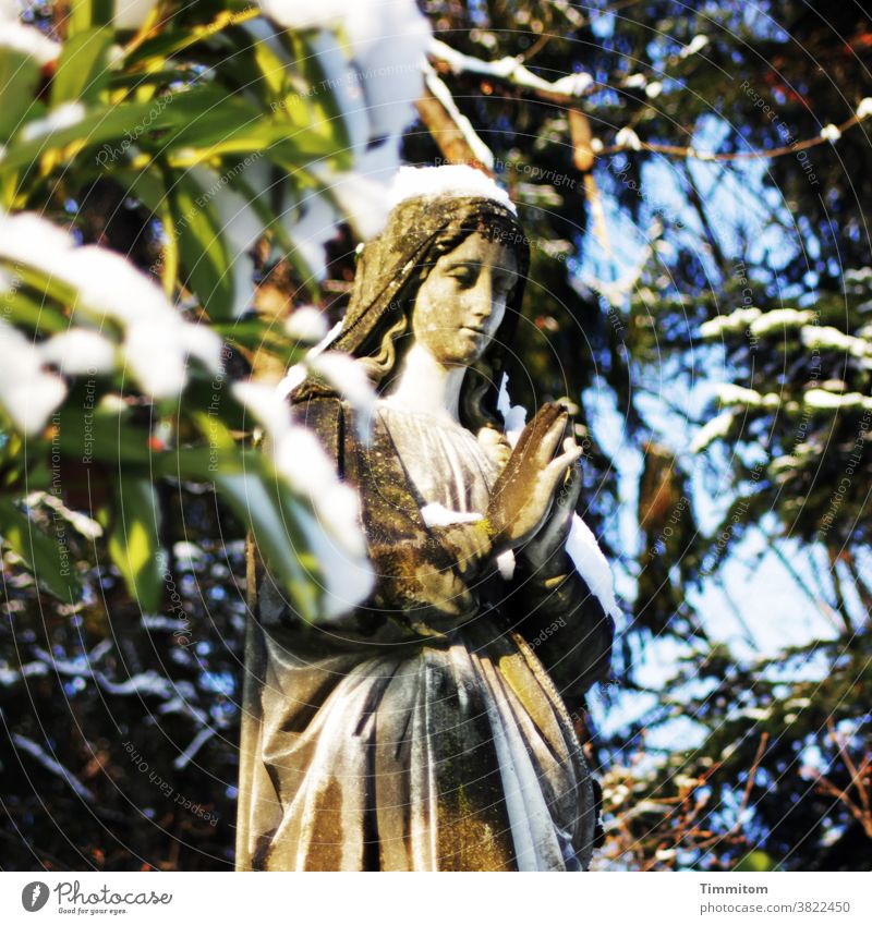 Tod, Leid, Erlösung, Trauer, Ruhe, Frieden Friedhof Grab Engel Statue Blätter Natur Schnee Hoffnung Zuversicht Glaube & Religion