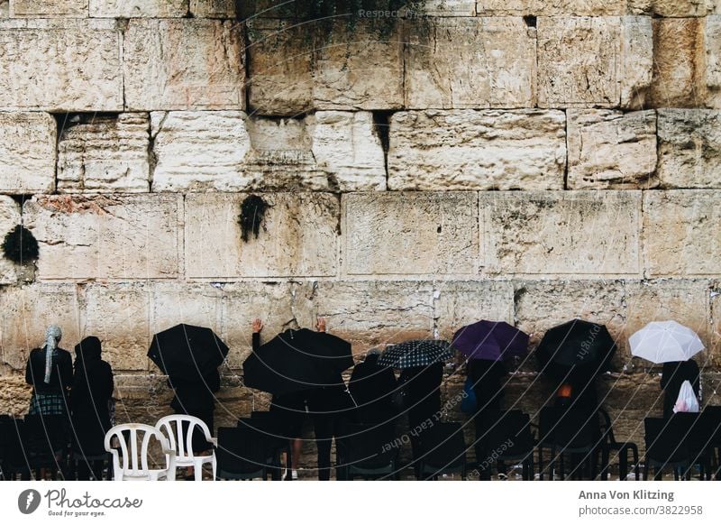 Klagemauer - Betende Frauen Jerusalem Regen Regenschirm Mauer Religion & Glaube Israel Judentum jüdisch Stein Steine religion betend betende frauen juden heilig