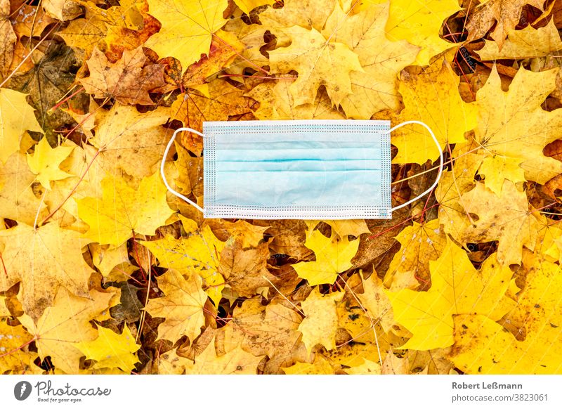 eine Atemschutzmaske liegt auf Herbstlaub herbst corona covid-19 atemschutzmaske einwegmasken mund-nase-abdeckung benutzt goldener oktober grippewelle blätter
