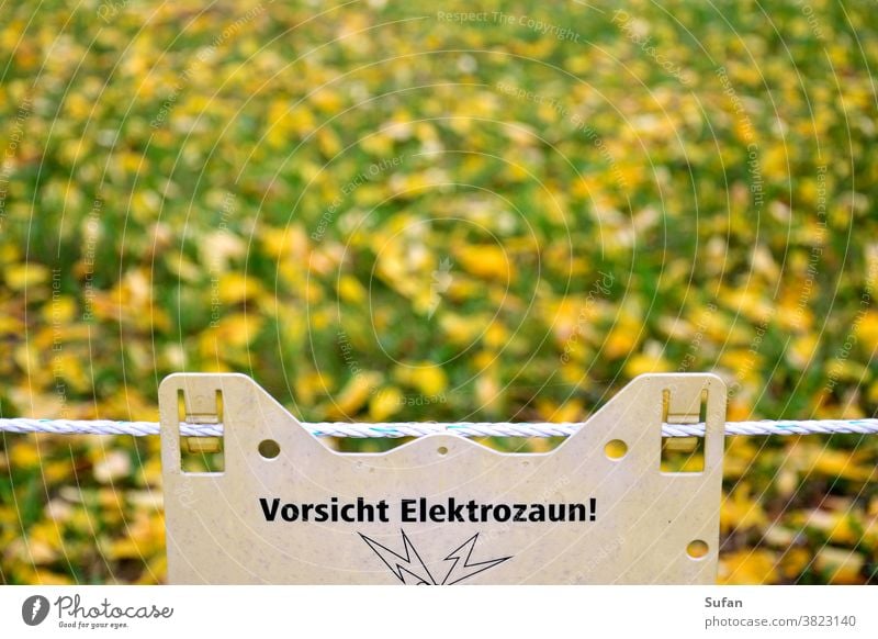 Elektrozaun Schweinepest Wiesen-Hintergrund herbstlich Herbst gelb grün Weide Absperrung Achtung Gefahr Schutzzaun