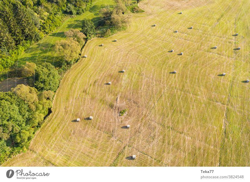 eine große Wiese mit Heuballen von oben Landwirtschaft Farmgelände Gras Traktor Lebensmittel Tier sonnig Sonne