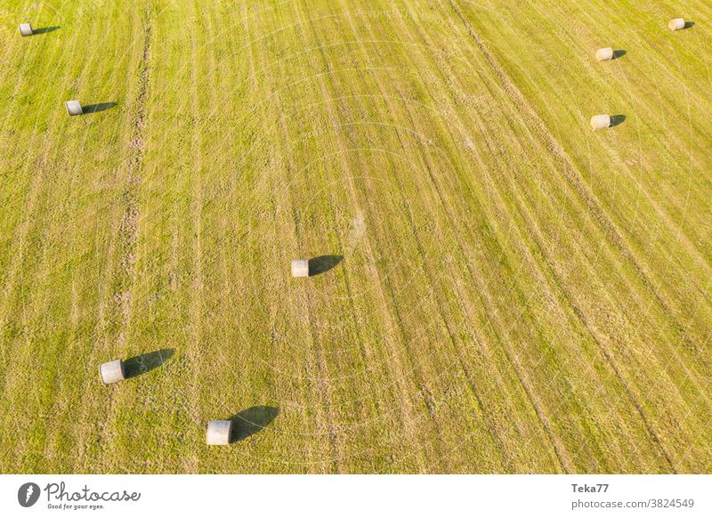eine große Wiese mit Heuballen von oben Landwirtschaft Farmgelände Gras Traktor Lebensmittel Tier sonnig Sonne