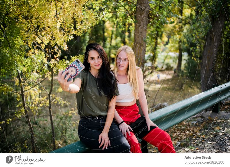 Junge Freundinnen nehmen Selfie am Straßenrand in der Nähe von Wald Frauen Herbst Landschaft Zusammensein Smartphone Natur positiv jung Apparatur Gerät ruhen