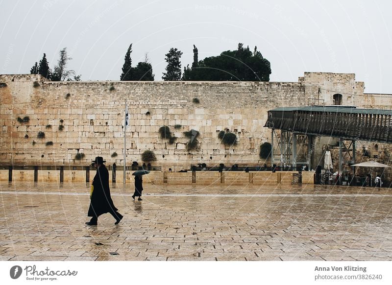 Klagemauer im Regen Jerusalem Israel orthodox Steine regen Regenschirm religion Religion & Glaube schwarz gekleidet religiös gläubig Mann reisen Reisefotografie