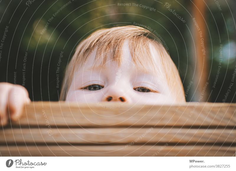 neugier Kind Kindheit Neugier verstecken Spielen Mensch Blick Blick in die Kamera Fröhlichkeit 3-8 Jahre Porträt frech Spielplatz Farbfoto Augen Glück Gesicht