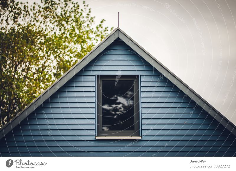 Blaues Holzhaus mit Dachfenster Haus Schwedenhaus blau Baum
