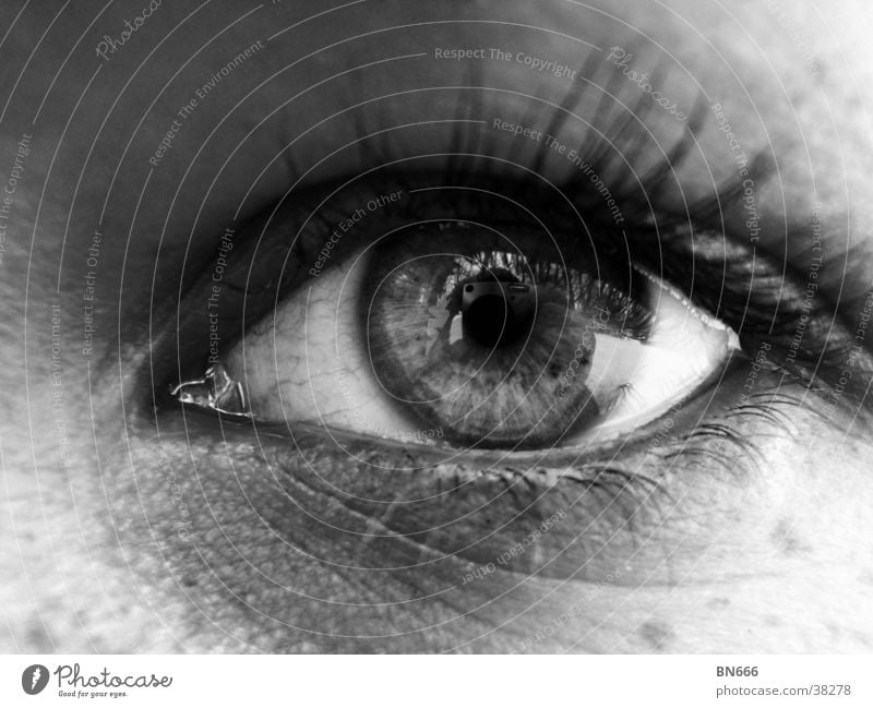 Das Auge! feminin Frau Schwarzweißfoto Klarheit
