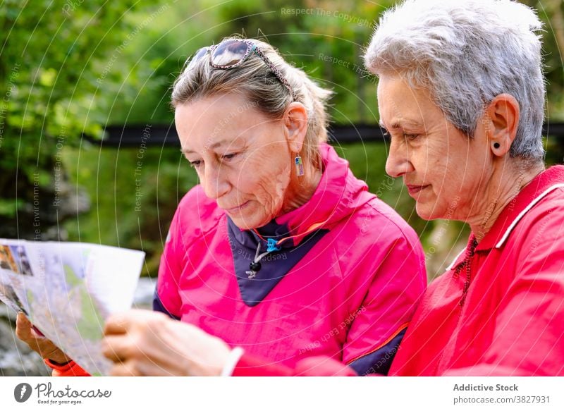 Reife weibliche Touristen beobachten Karte auf Berg in der Nähe von Fluss Wanderer zuschauend Landkarte Route Anleitung erkunden Hund Berge u. Gebirge Frauen