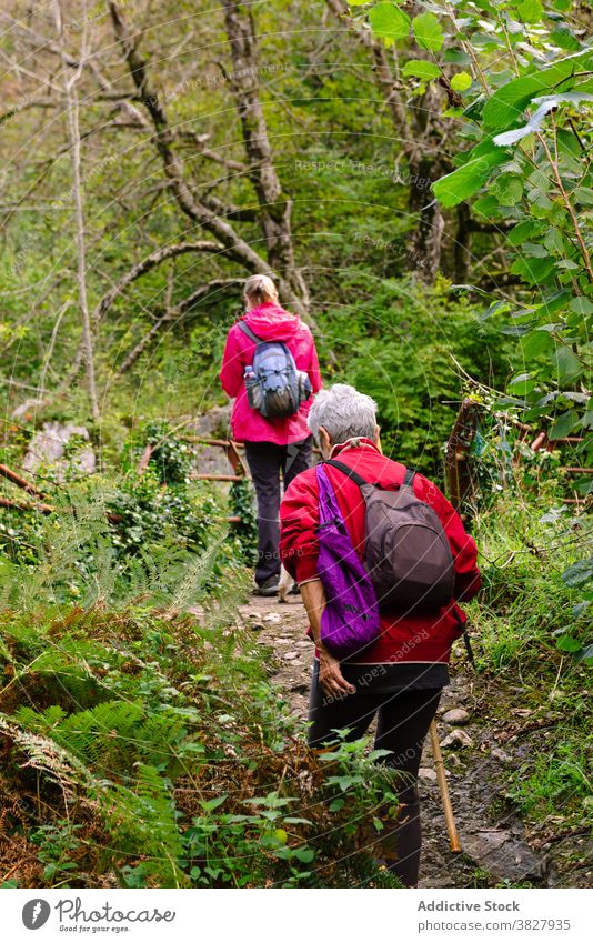 Anonyme Wanderer erkunden das Hochland Freund Natur Rucksack reisen Frauen Mast Reisender Grün Ausflug Fernweh wachsen Pflanze Trekker Partner abstützen