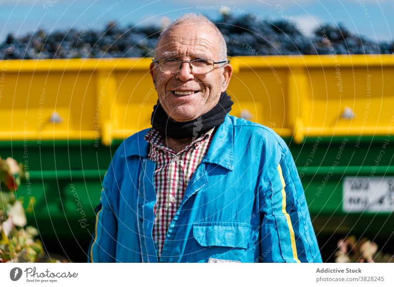 Lächelnder Seniorwinzer hinter Traktor mit Trauben Winzer Brille Gartenbau Anhänger Ernte Sommer Landschaft Porträt Mann blau Uniform Haufen heiter herzlich