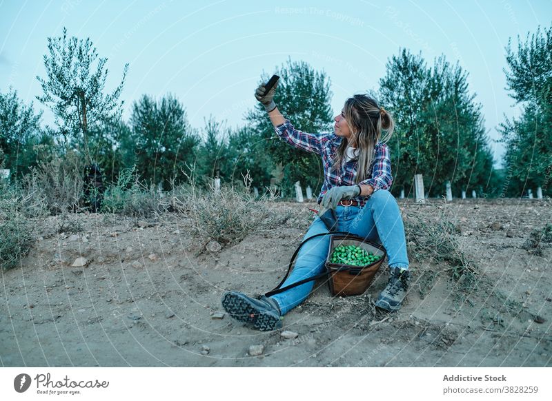 Glücklicher Bauer mit Olivenernte nimmt Selfie Landwirt oliv Ernte Schonung Frau Smartphone Ackerbau ländlich Bauernhof Telefon Mobile teilen fotografieren