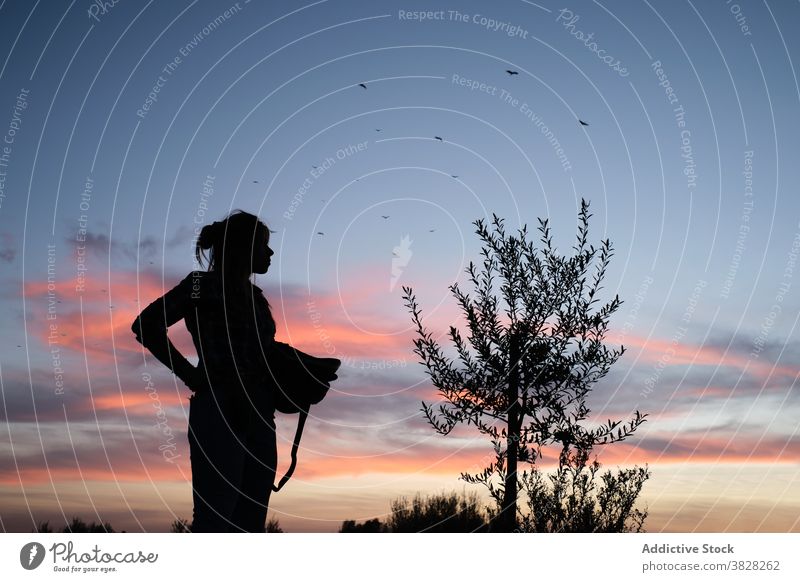 Unerkennbare Frau auf dem Lande bei Sonnenuntergang Silhouette Landschaft Landwirt Abend ländlich Dorf Natur Garten idyllisch Harmonie ruhig Dämmerung