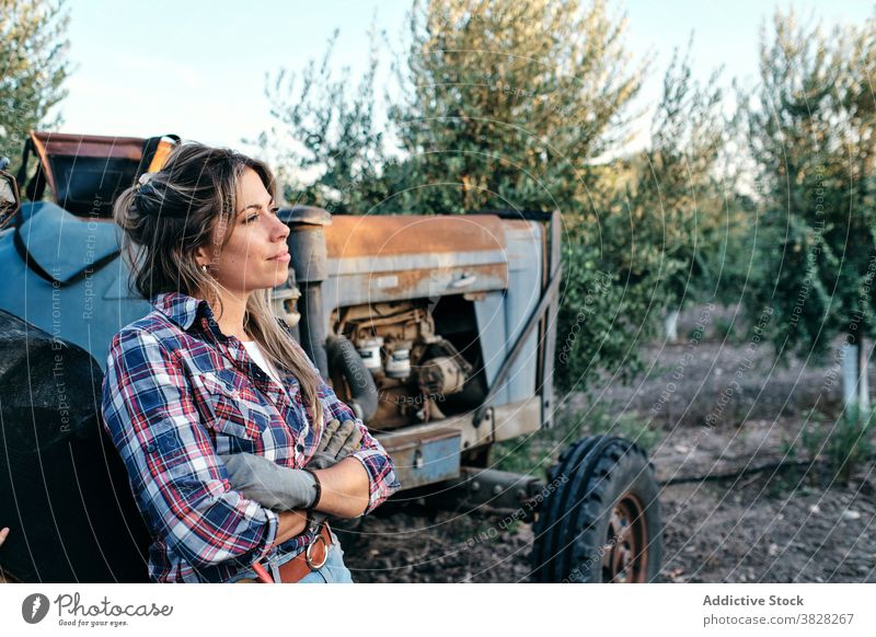 Bäuerin mit Traktor auf Olivenplantage Landwirt oliv Schonung Ernte Maschine Frau Ackerbau ländlich Pflanze Bauernhof zufrieden Erwachsener Kleinunternehmen