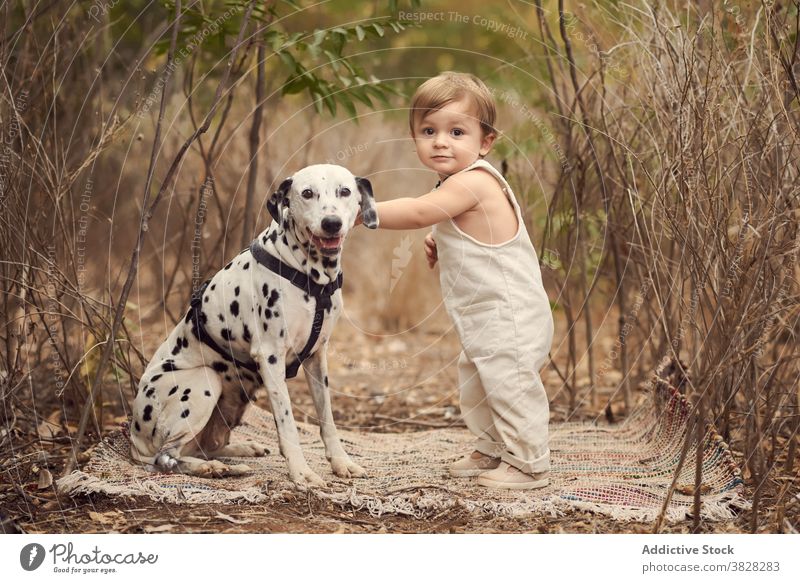 Kleiner Junge mit niedlichen Hund stehend im trockenen Gras Kind Kleinkind Freude wenig heiter Kindheit bezaubernd Haustier Lächeln froh gesamt Dalmatiner Tier