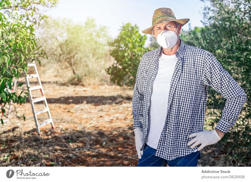 Männlicher Landwirt mit Schutzmaske auf dem Bauernhof Mann Gärtner Mundschutz Gartenbau Frucht Ackerbau kultivieren vegetieren Pflanze wachsen COVID männlich