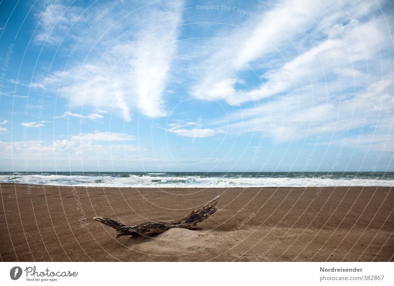 Holz harmonisch Sinnesorgane ruhig Landschaft Sand Wasser Himmel Wolken Schönes Wetter Wellen Strand Meer blau braun Fernweh ästhetisch Einsamkeit Erholung