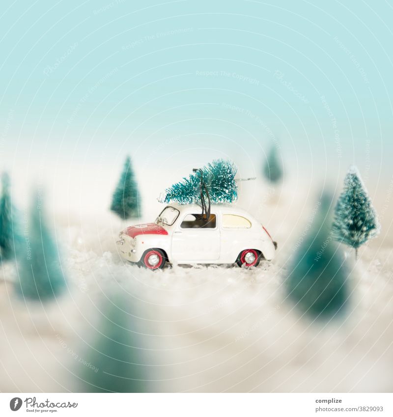 Mit dem Weihnachtsbaum nach Hause fahren Oldtimer Wald Schneefall Silvester u. Neujahr kaufen Lifestyle Natur schön Baum Kreativität Verkehr Landschaft