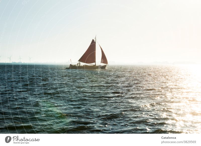 Ein Plattbodenboot mit roten Segeln auf dem IJsselmeer Freiheit Wasser nass Horizont Meer Ferien & Urlaub & Reisen Plattbodenschiff Windräder Sonne Licht Rot