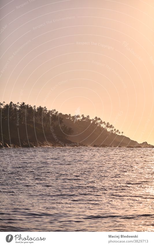 Sri Lankas Küste mit Palmensilhouetten bei Sonnenuntergang. MEER Natur Meer Insel Handfläche Landschaft Silhouette Sonnenaufgang Ausflugsziel Asien Wasser