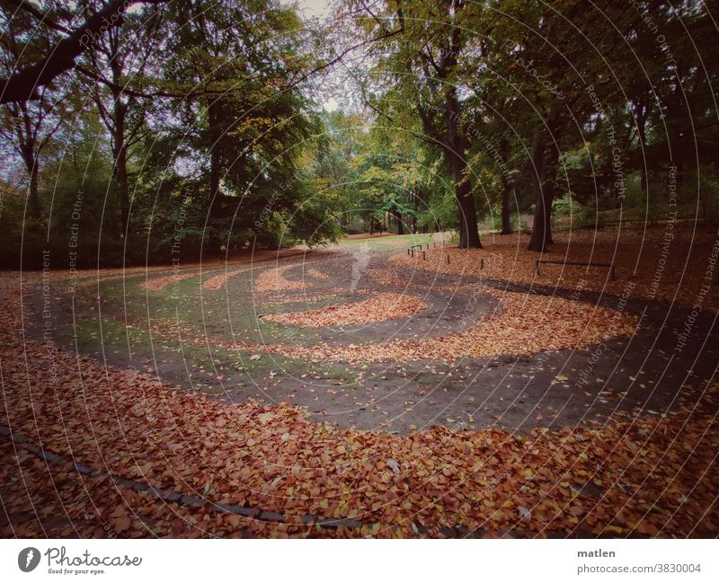 schwungvoller Herbst Park Blatt Außenaufnahme Menschenleer Farbfoto Bahnen kurvenreich Schwung Spuren