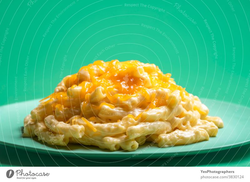 Makkaro- und Käseportion auf grünem Hintergrund. Makkaroni mit Käse auf einem Teller. Amerikaner Kohlenhydrate Cheddar Nahaufnahme Komfortnahrung Textfreiraum