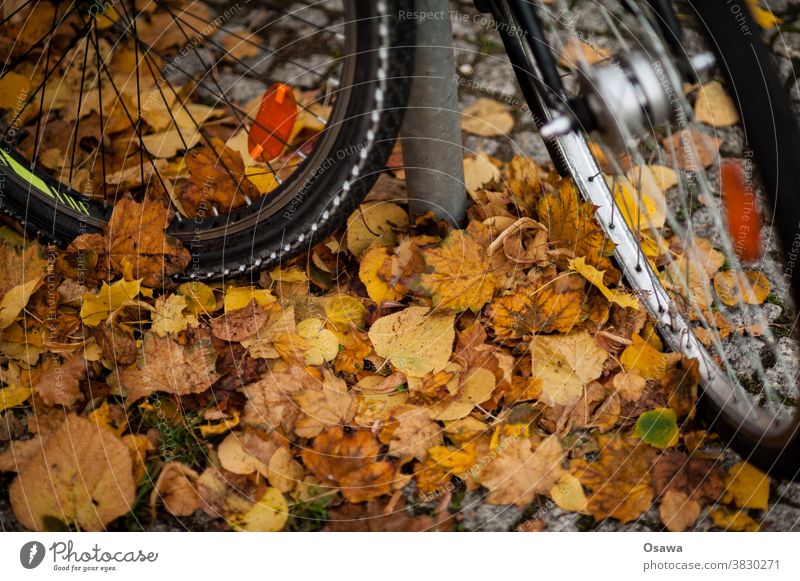 Fahrräder an Herbstlaub Fahrrad Rad Reifen Fahrradreifen Vorderreifen Speichen Felge Nabe Reflektor Laub Radeln Fahrradfahren Glatt Rutschig Gefahr Sturz Parken