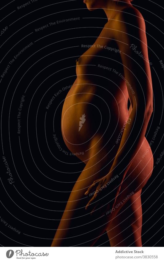 Nackte Frau zeigt Figur und Bauch während der Schwangerschaft nackt dunkel Hände an der Taille vorwegnehmen itim erotisch Form Mutterschaft schwanger pränatal