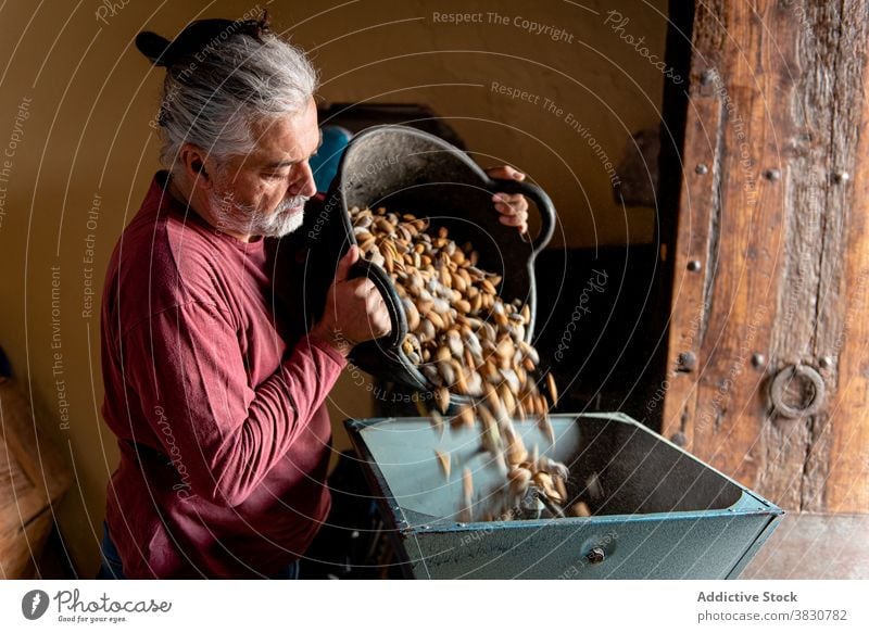 Älterer Mann legt Mandeln in Nussknackmaschine setzen Nut Rissbildung Maschine Werkzeug Landwirt Nussschale Panzer männlich Stock Raum alt Möbel Scheune Tür
