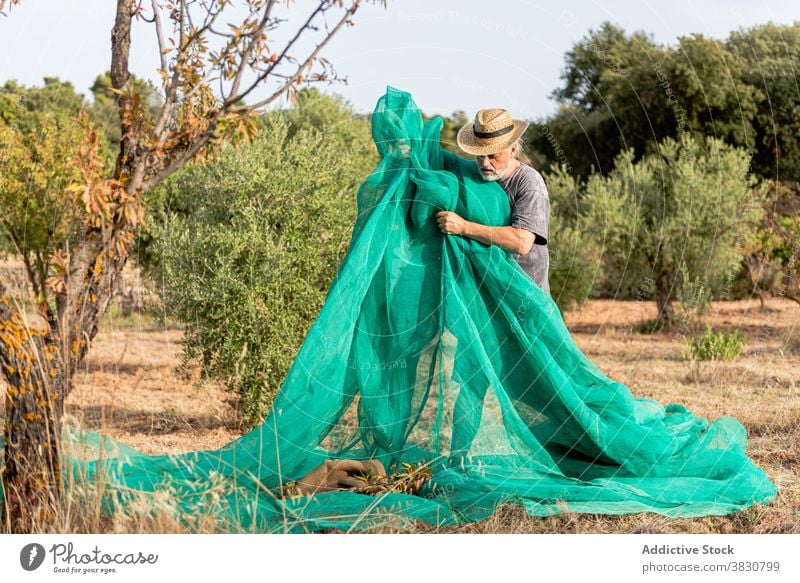 Älterer Mann mit Netz im Garten Landwirt ineinander greifen Arbeit Bauernhof Beruf Landschaft Ineinandergreifen männlich Geflecht Business Job gealtert