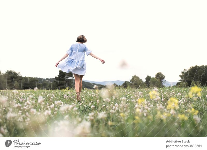 Gesichtslose Frau zu Fuß in Feld von Blumen im Sommer schlendern Wiese Spaziergang Sommerzeit Verlockung romantisch Freiheit Arme auseinander Gras Wald Natur