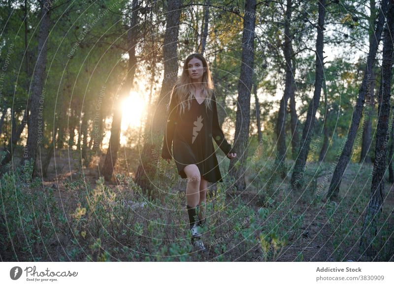 Junge Frau stehend im Herbst Wald Wälder Natur Kleid lange Haare Sonnenlicht Saison Waldgebiet kalt Wiese sonnig fallen jung Umwelt reisen Wanderung Abenteuer
