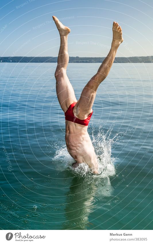 Sprung ins Wasser Lifestyle Freude Wellness Leben Erholung Freizeit & Hobby Sommer Sport Schwimmen & Baden Schwimmbad Mensch maskulin Mann Erwachsene Bauch