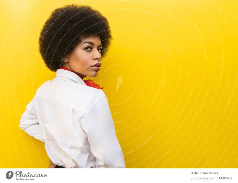 Stilvolle schwarze Frau in Anzug und Bluse mit Aktentasche ernst selbstbewusst Exekutive respektabel stilvoll gut gekleidet formal Studioaufnahme Unternehmer