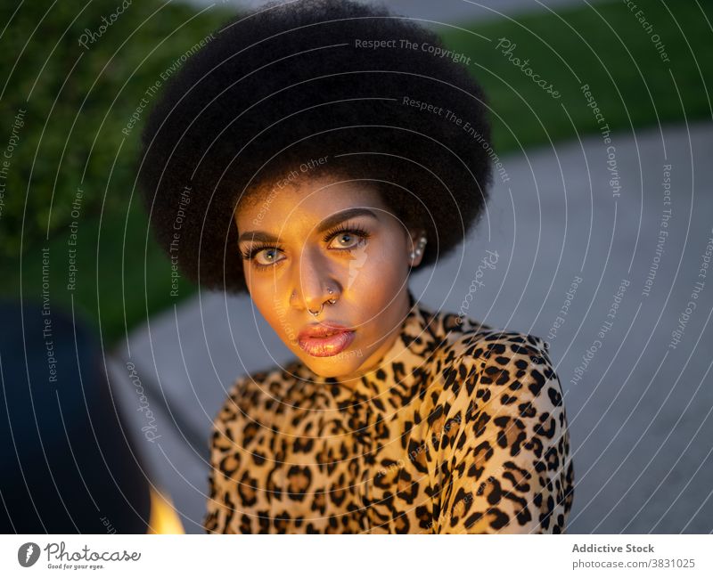 Selbstbewusste schwarze Frau mit Make-up und Afro-Frisur Windstille selbstbewusst Afro-Look ernst Vorschein Stil Denken verträumt brünett friedlich ruhig