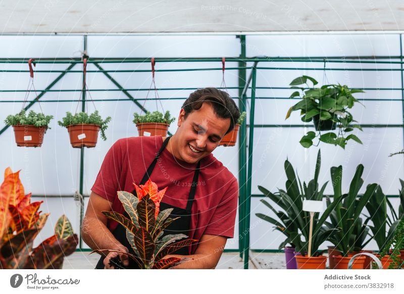 Ernster nachdenklicher Mann bewässert grüne Pflanze Wasser aufpassen eingetopft Blume Gewächshaus eingießen männlich geräumig Arbeit Job Beruf Ackerbau Botanik