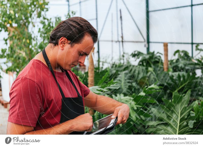 Junger Mann mit Tablette im Gewächshaus benutzend Pflanze Granatapfel Konzentration Fokus Browsen Gerät männlich Garten braune Haare Punica ernst Arbeit prüfen