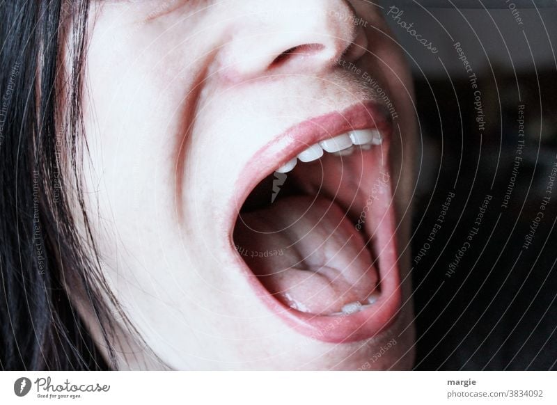 Ein geöffneter Frauenmund der schreit Mund Zähne Zunge offen offener mund Nase Lippen Mensch Haut Angst schreien Schreihals Wut Kopf Ärger Schmerz Aggression