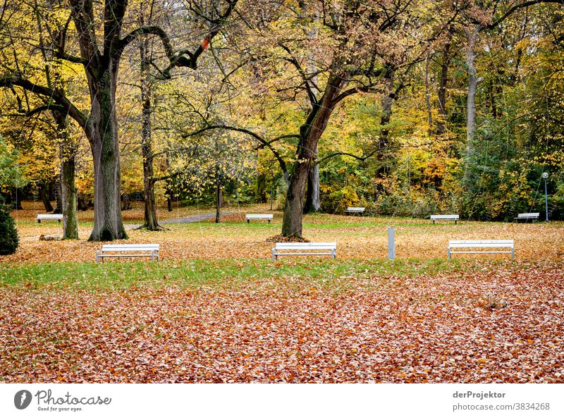 Freie Bänke im Herbst in Bad Nenndorf Landschaft Ausflug Natur Wanderung Umwelt wandern Pflanze Baum Wald Akzeptanz Vertrauen Glaube Naturerlebnis herbstlich
